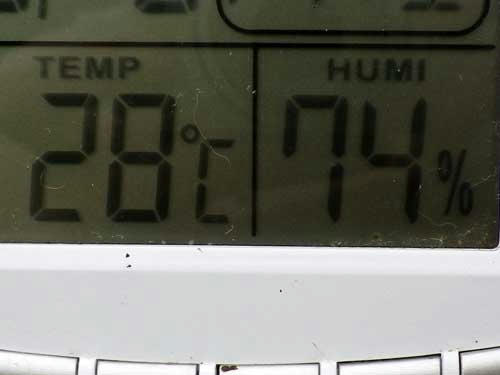 100807_04.jpg