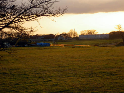 101113_03.jpg