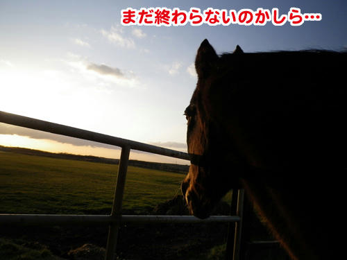 101113_05.jpg