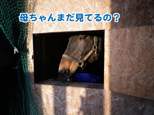 101113_06.jpg