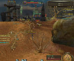 AION2-Q03.JPG