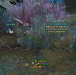 Aion02-Q0018.JPG