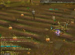 Aion02-Q0027.JPG