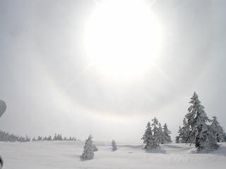 DSC02722.JPG