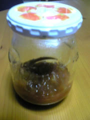 jamu.jpg