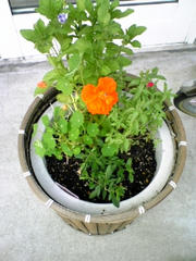 080605_171946.jpg