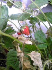 080707_114034.jpg