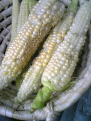 080723_073426.jpg
