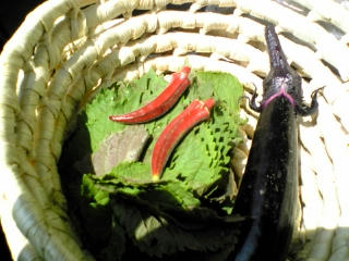 080728_101908.jpg