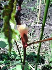 080727_131654.jpg