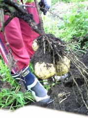 080802_095046.jpg