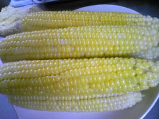 080819_125550.jpg