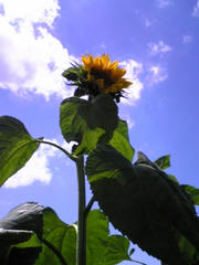080810_114558.jpg