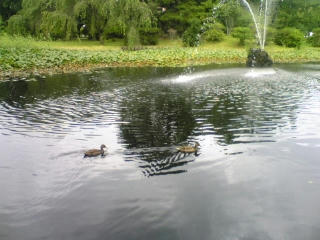 DVC00173.jpg