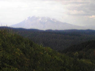 DVC00217.jpg