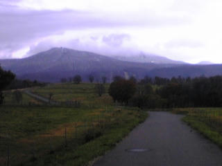 DVC00219.jpg