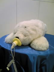 DVC00239.jpg