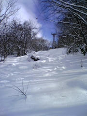 DVC00248.jpg