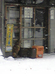 DVC00266.jpg