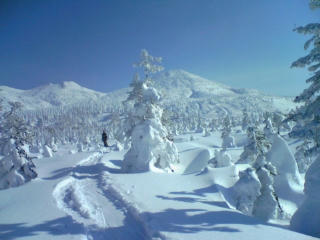 DVC00267.jpg