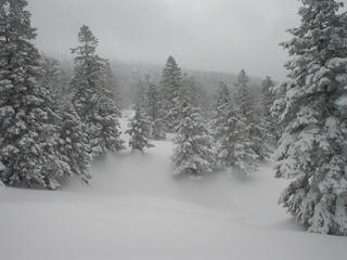 DSC03089.JPG