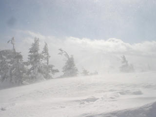 DSC03100.JPG