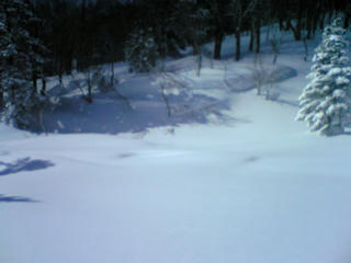 DVC00038.JPG