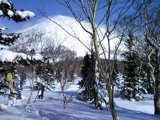 DVC00023.jpg