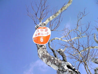 DVC00055.JPG