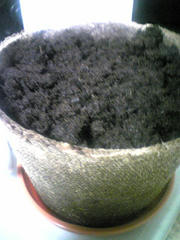 090410_001308.jpg