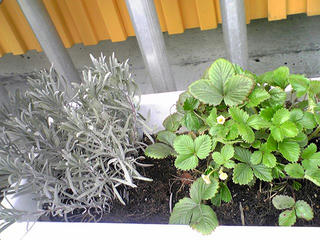 090412_172718.jpg
