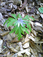 090508_133328.jpg