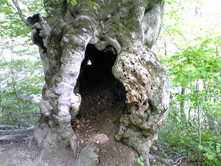 090508_150348.jpg