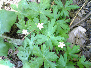 090508_140755.jpg