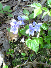 090508_140904.jpg