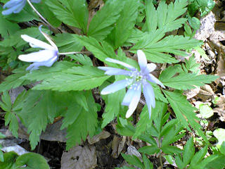 090508_141424.jpg
