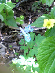 090508_141541.jpg