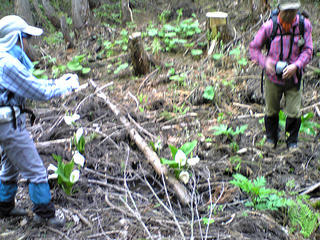 090510_071811.jpg