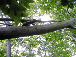 090627_072248.jpg