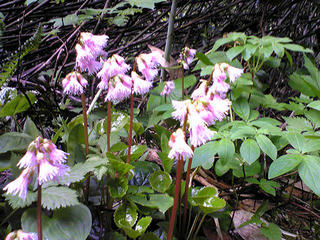 090627_081113.jpg