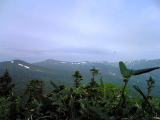 090627_083905.jpg