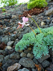 P1000213.JPG