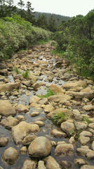 P1020025.JPG