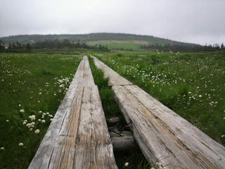 P1020012.JPG
