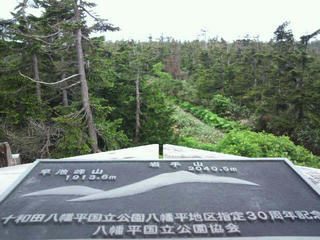 P1020007.JPG