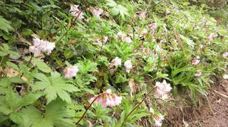 P1020030.JPG