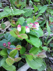 P1020037.JPG
