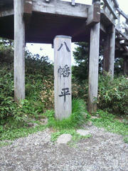 P1020008.JPG