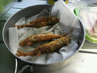 P1020072.JPG