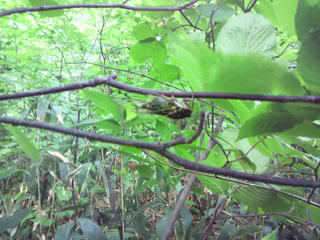 P1020117.JPG